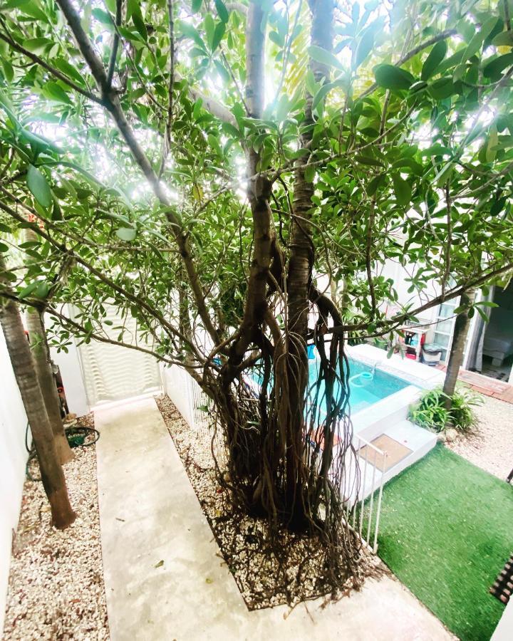 Apartment Cozy Tiny Acasadialexplayadelcarmen